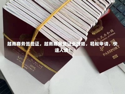 越南商務(wù)簽證全攻略 輕松申請，快速入境